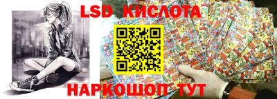 стафф Гай