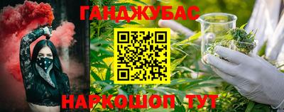 стафф Гай