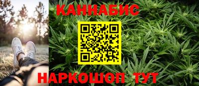 стафф Гай