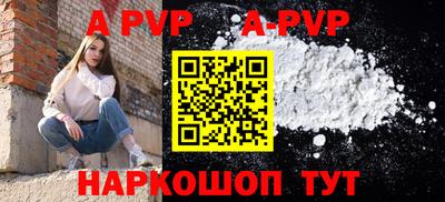 стафф Гай