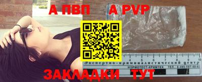 стафф Гай