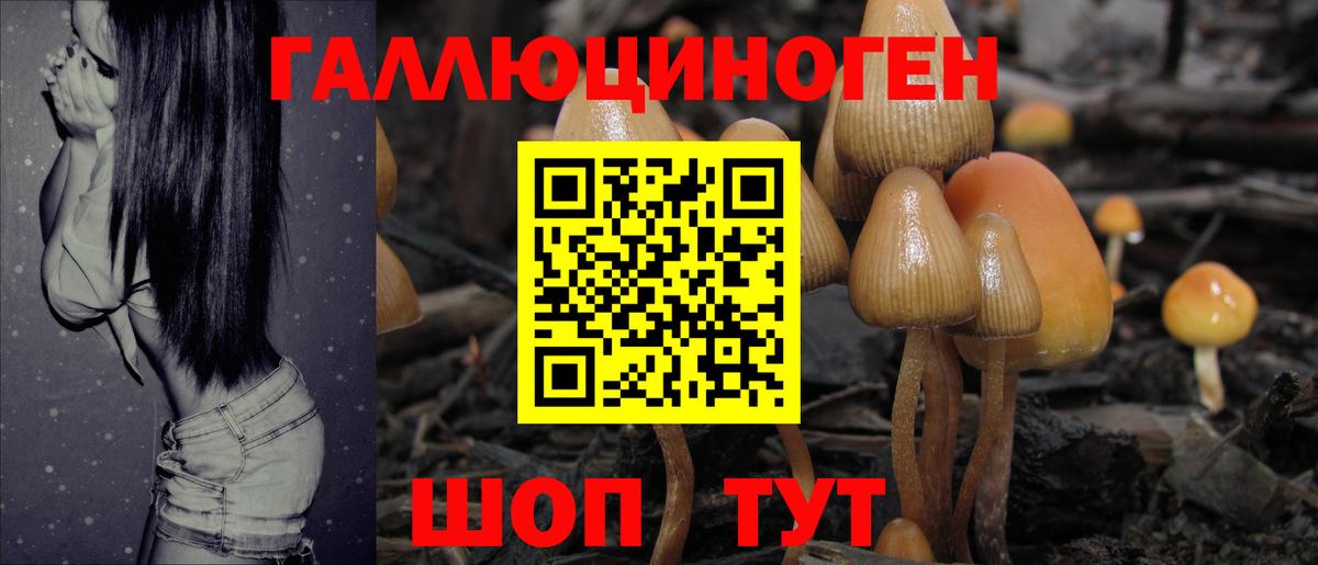 как найти закладки  Галлюциногенные грибы ЛСД  Вход с VPN  Псилоцибиновые грибы мицелий  Фрязино 
